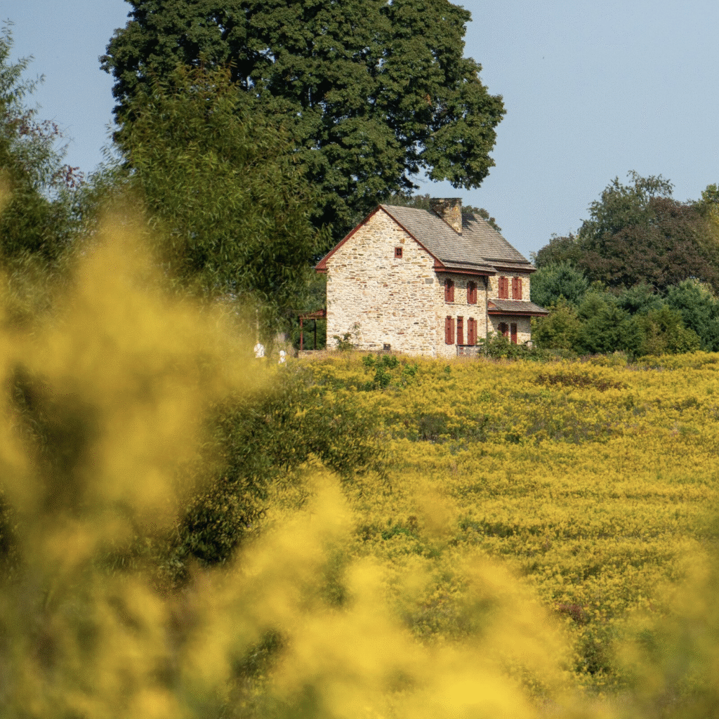 Screenshot 2025 10 09 at 12.41.42 PM