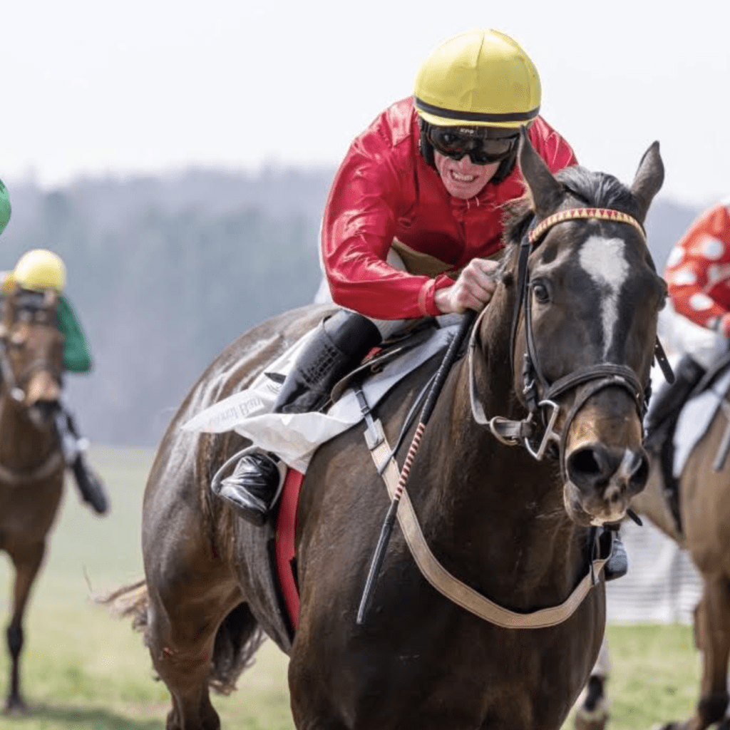 Screenshot 2026 02 18 at 4.18.48 PM